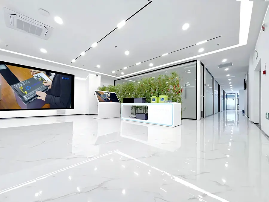 बारेमा